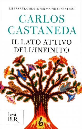 Libro lato attivo - libro,